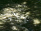 Click to see rapids.jpg